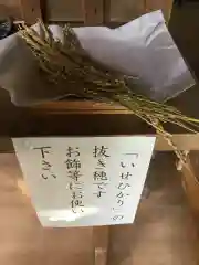 白羽神社の授与品その他