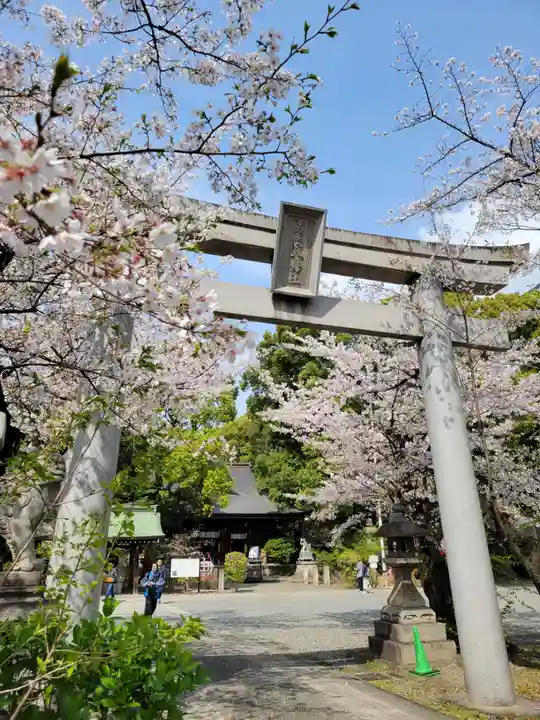 若宮八幡社(愛知県)