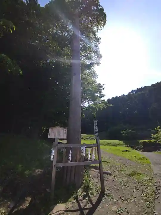 諏訪大社上社前宮(長野県)