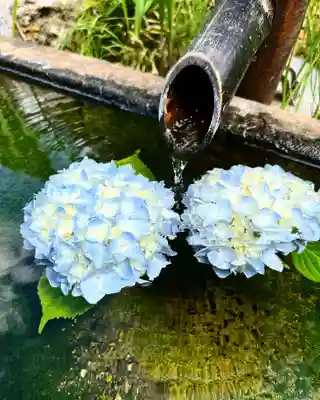 国宝 大法寺の手水舎