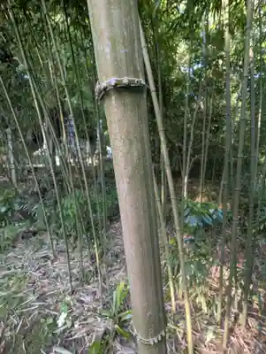 西明寺(栃木県)