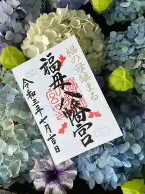 7月1日より頒布の月替わり御朱印です。
１ヶ月限定デザインのため7月31日までの頒布です。
初穂料500円。
直書き・書き置き両方ございます。