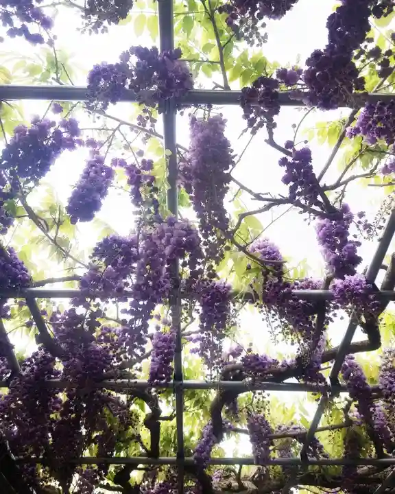 秋葉神社の自然