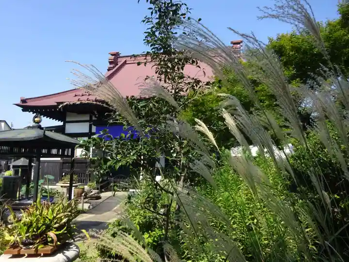 常泉寺の本殿・本堂