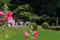 鹿島大神宮の景色