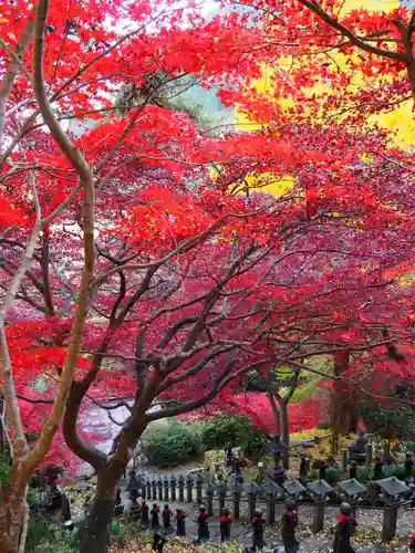 大山寺(神奈川県)