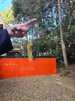 御蔭神社(京都府)