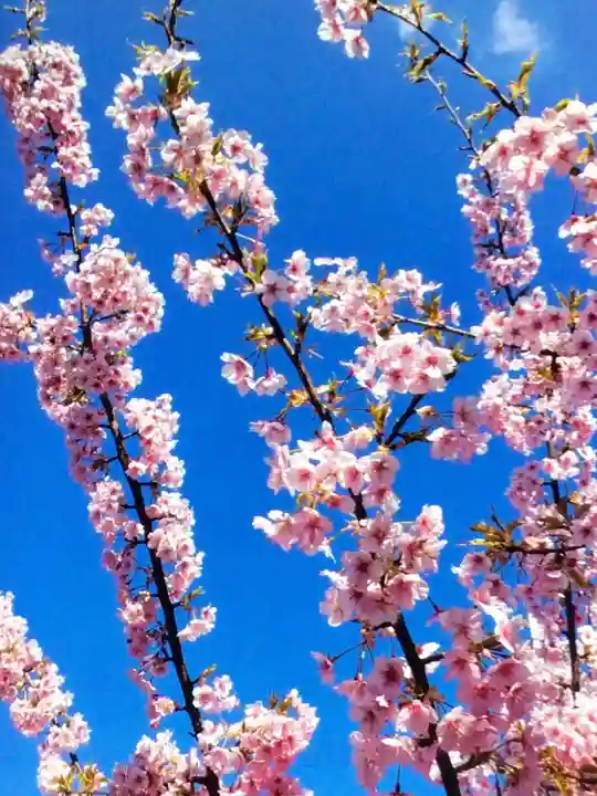 福蔵院(東京都)