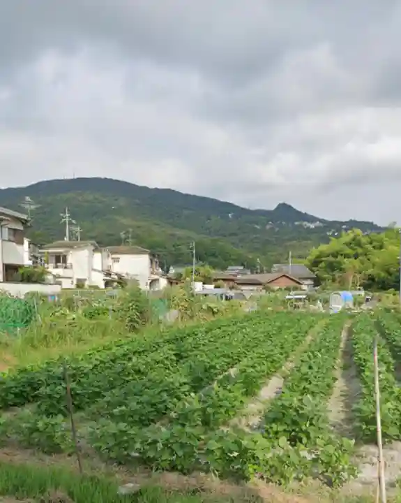 往馬坐伊古麻都比古神社(奈良県)