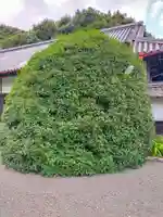 常安寺(三重県)