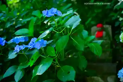 高幡不動尊　金剛寺(東京都)