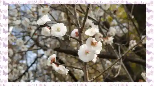 下野 星宮神社(栃木県)