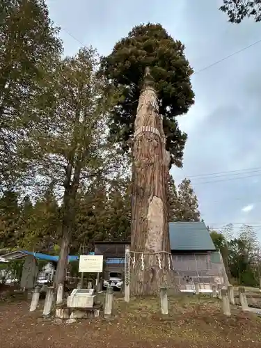 豊龍神社(山形県)