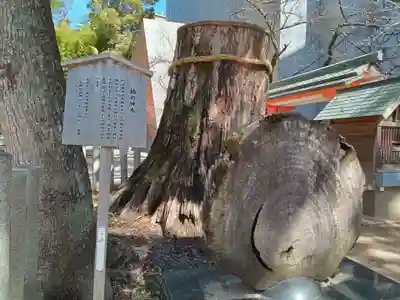 生田神社(兵庫県)