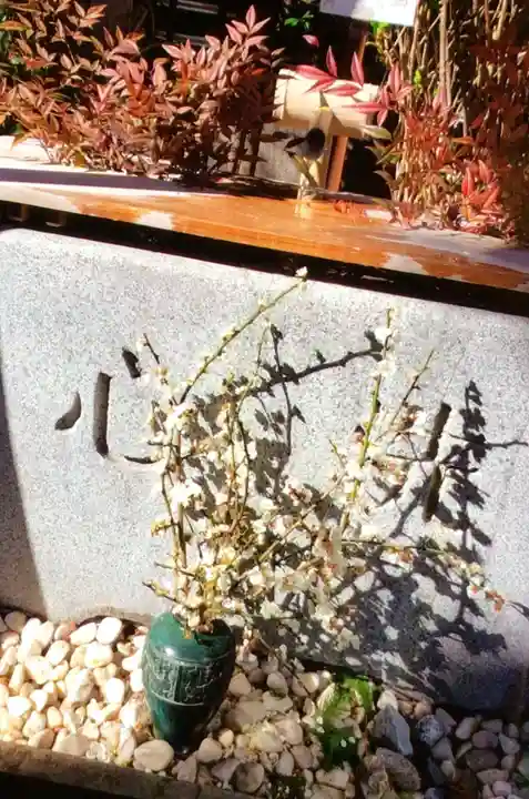 猿田彦神社(東京都)