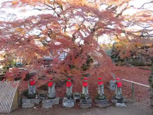 西善寺の景色