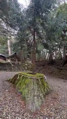 元伊勢内宮 皇大神社(京都府)