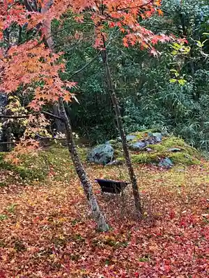 宝厳院(京都府)