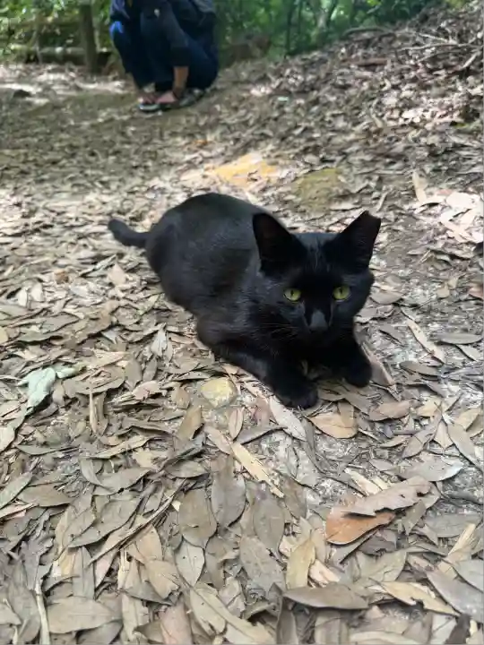 玉野御嶽神社(愛知県)