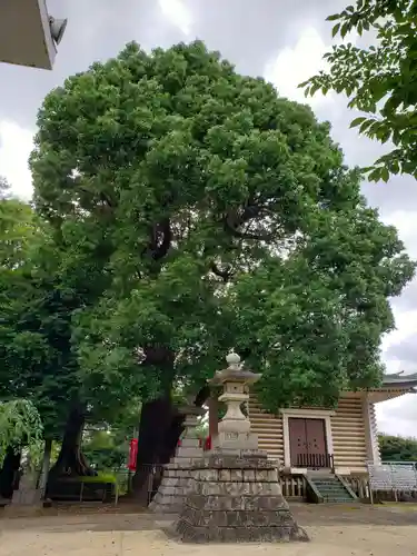 諏訪神社のその他建物