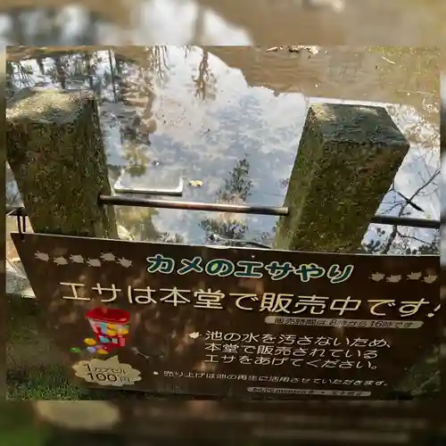 笠覆寺 (笠寺観音)の自然