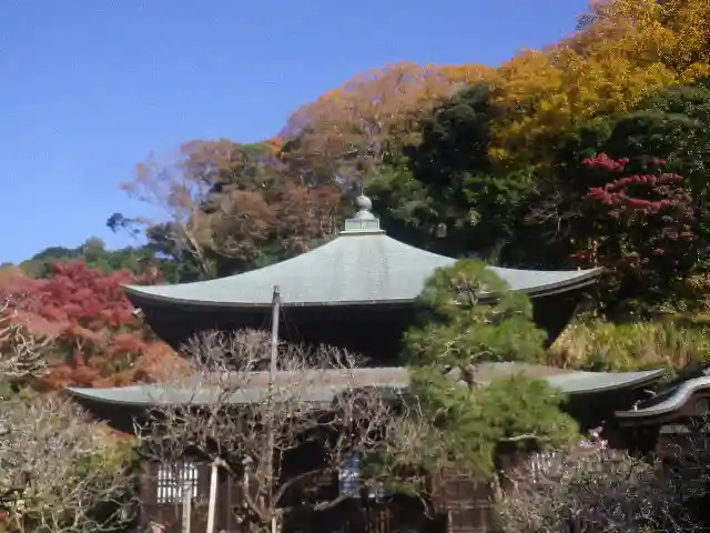 瑞泉寺の本殿・本堂