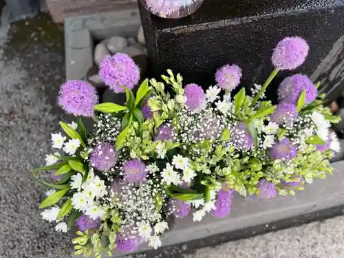 上尾御嶽神社の手水