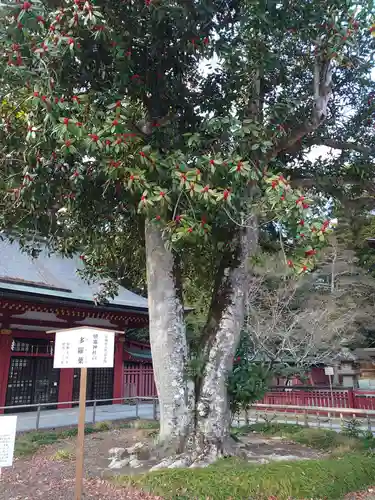 志波彦神社・鹽竈神社の庭園