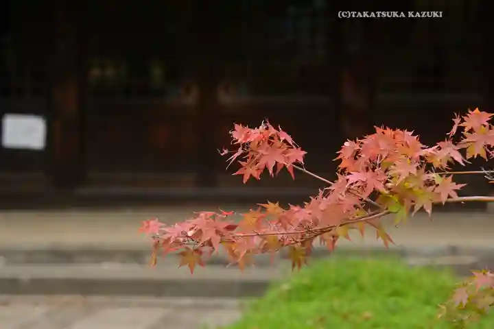 豪徳寺(東京都)