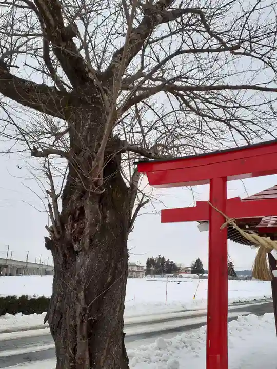 大日堂(岩手県)