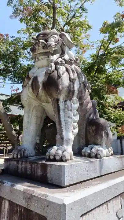 寒川神社の狛犬