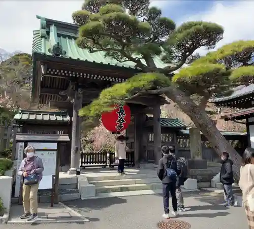 長谷寺の山門・神門