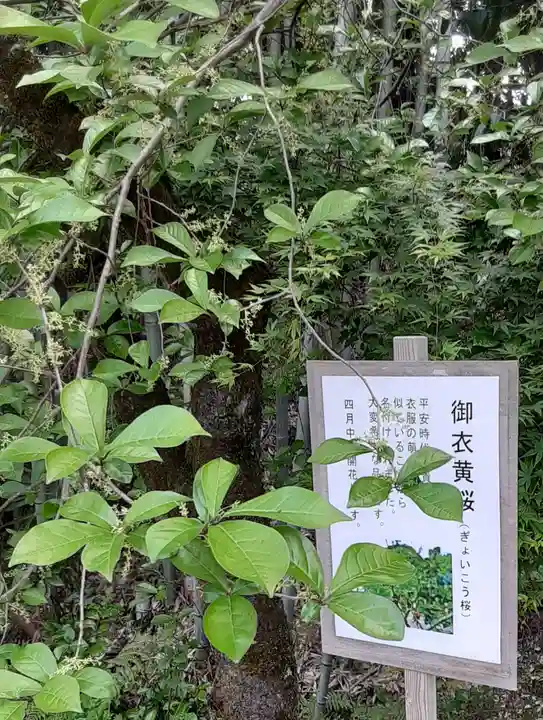白笹稲荷神社(神奈川県)