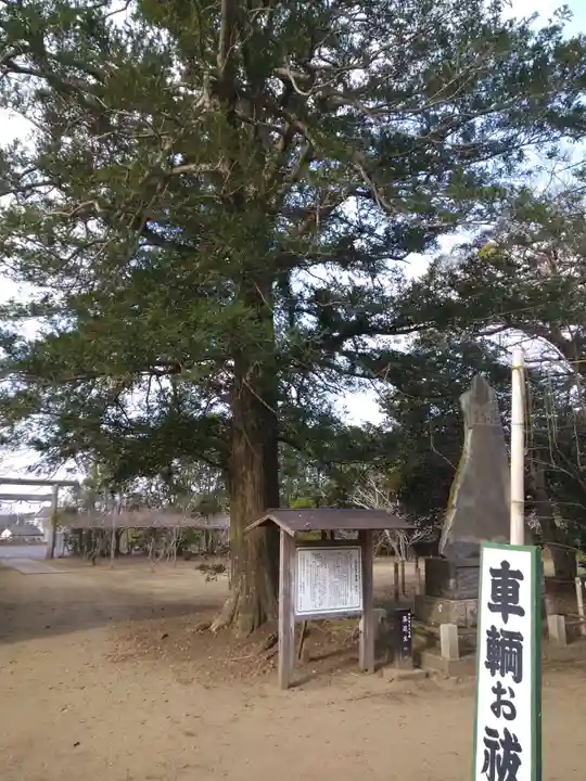 鎌数伊勢大神宮の自然