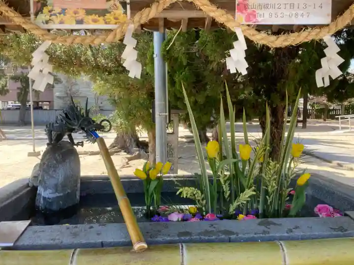 三津厳島神社の手水舎