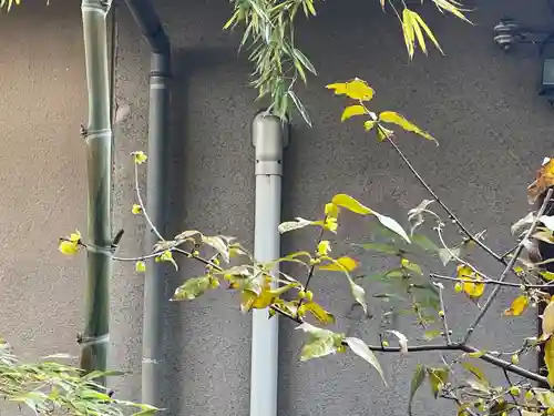 遠照山 光明寺（尼崎大仏）(兵庫県)