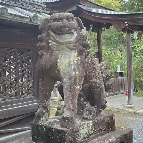 三尾神社の狛犬