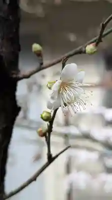 錦天満宮(京都府)