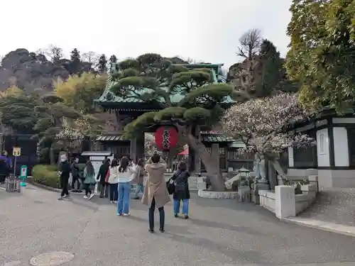 長谷寺の山門・神門