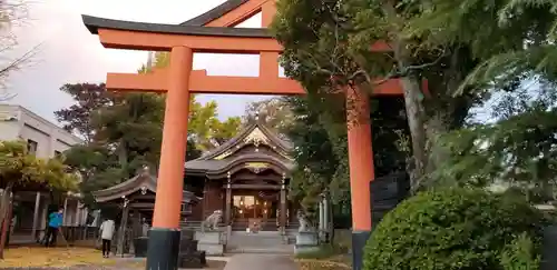 日枝神社の鳥居