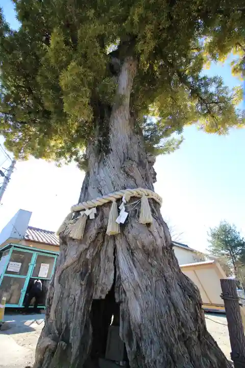 前玉神社の御朱印