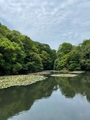 明治神宮(東京都)