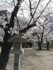 三光神社の建物その他