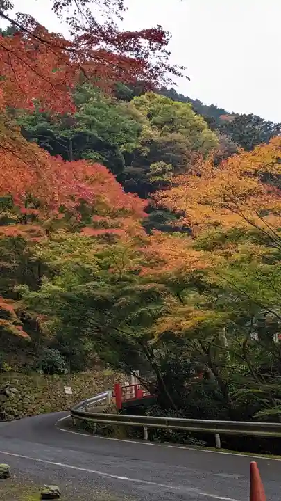 善峯寺(京都府)