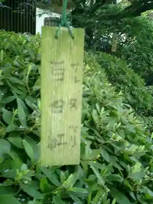 長谷寺のその他建物