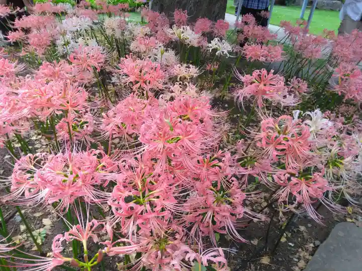 横浜 西方寺(神奈川県)