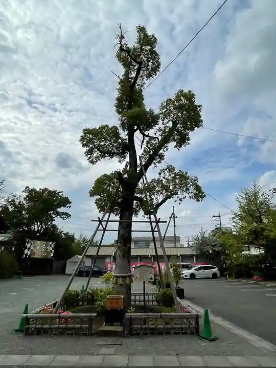 溝口神社の自然