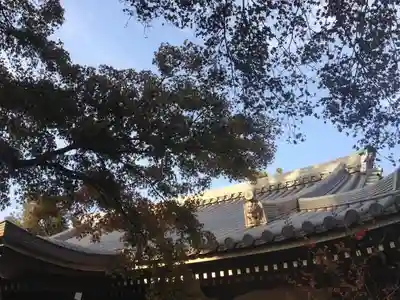 永安寺の自然