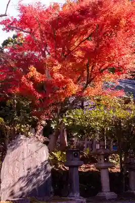 宇治神社(京都府)