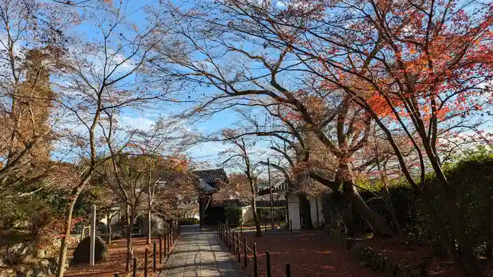光明寺(粟生光明寺)(京都府)